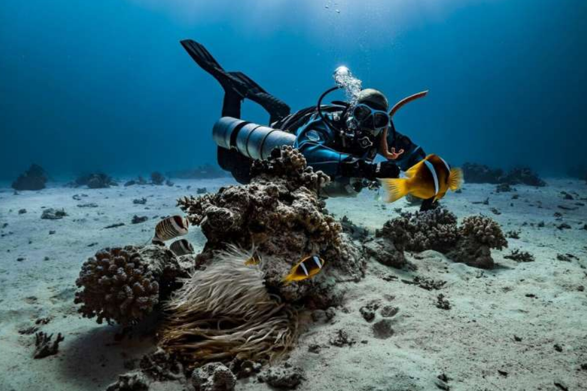 Manfaat Ganda Wisata Selam, Bantu Lindungi Laut dan Tingkatkan Perekonomian Lokal